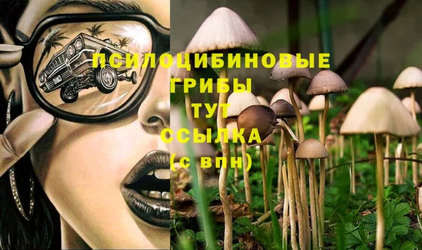 прущая мука Лиски