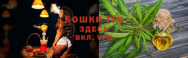 молекула духа Лихославль