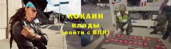 молекула духа Лихославль