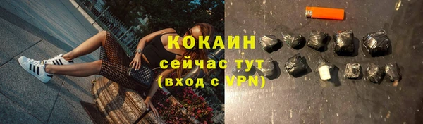молекула духа Лихославль