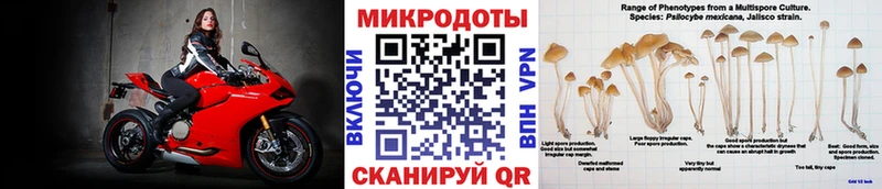 Галлюциногенные грибы Psilocybine cubensis  Лосино-Петровский 